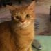 Debbie Routhier - Facebook