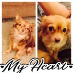 Debbie Barrickman Royce - @barrickmanroyce - Instagram