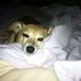 Debbie Royster - Facebook