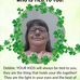 Debbie Royster-Sides - Facebook