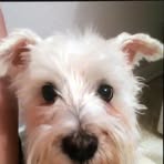 Debbie Royston - Facebook