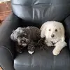 Debbie Rubin Sandler - @dsandler60 - TikTok