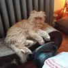 debbiedrubin - @debbiedrubin - TikTok