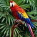 Debbie Ruch - Facebook