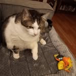 Debbie Rudd - @debbie.rudd67 - Instagram