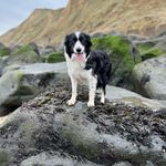 Debbie Ruff - @dibby212 - Instagram