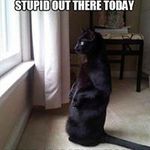 Debbie Ruffner - @ruffnerdebbie - Instagram