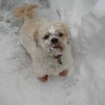 Debbie Schaeffer Ruff - @debbie.ruff.3 - Instagram