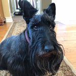 Debbie Ruggles - @ruggles2728 - Instagram