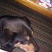 Debbie Ruggles - Facebook