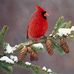 Deborah Rule - Facebook