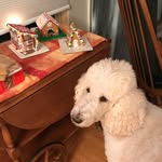 Debbie Golden Runyon - @debbiegoldenrunyon - Instagram