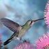 Debbie Runyon Smith - Facebook