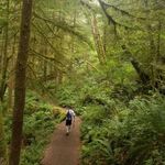 Debbie Oswald Ruppelius - @debbieruppelius - Instagram