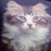 Debbie Ryall - Facebook
