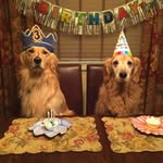 Debbie Rybak - @rybak.debbie - Instagram