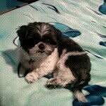 Debbie Rydberg - @rydbergdebbie1 - Instagram