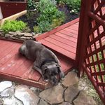 Debbie Ryder - @debbie.ryder.ksjwp - Instagram
