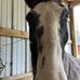 Debra Ryder - Facebook