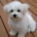 Debbie Rye - Facebook