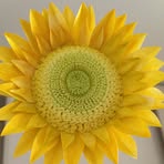 Debbie Yu - Facebook