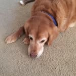Debbie Sager - @sagerdebbie - Instagram