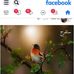 Said Touabe - Facebook