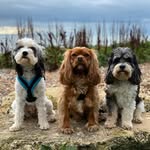 Debbie Saint - @debbie.saint108 - Instagram