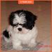Debbie Groves Salley - Facebook