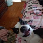 Debbie Salley - @dlsalley56 - Instagram
