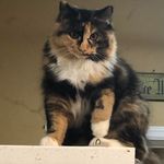 Debbie Ragsdale Salter - @debbieragsdalesalter - Instagram