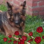 Debbie Salter - @salter2358 - Instagram