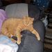 Debbie Samples - Facebook