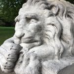 Debbie Sampson - @swimstergal - Instagram