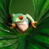 debbiesamora - @debbiesamora - TikTok