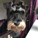 Debbie Samuel - @debsam1960 - Instagram