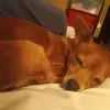 debbiesamuela - @debbiesamuela - TikTok