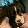 Debbie Sanders - @debbie.sanders - TikTok