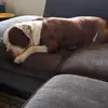 debbie sandra - @debbie.sandra2 - TikTok
