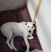 Debbie Sansom - Facebook