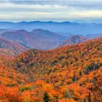 Debbie Sapp - @smokymountainluxuryescapes - Instagram