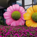 Debbie Sapp Fulk - @fulkdebbie - Instagram