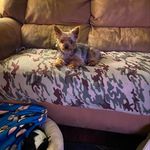 Debbie Sassone - @debbie.sassone - Instagram
