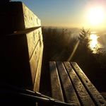 Debbie Sauer - @debs54321 - Instagram