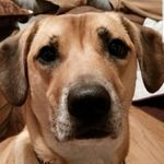 Debbie Sauer Saccente - @dsaccente75 - Instagram