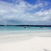 debbiesaxton71 - @debbiesaxton71 - TikTok