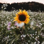 Debbie Saylor - @debbie_saylor_ - Instagram