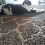 Debbie Schell - @debbie.schell.798 - Instagram