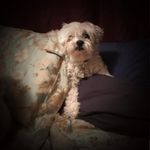 Debbie Schell-Milliken - @schell1958 - Instagram