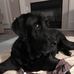 Debbie Scheller - Facebook